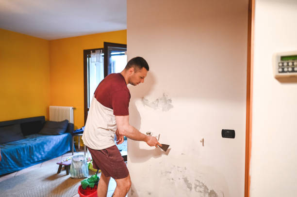 Trusted Llano, TX Mold Removal Experts